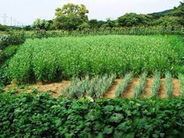 farming_demo