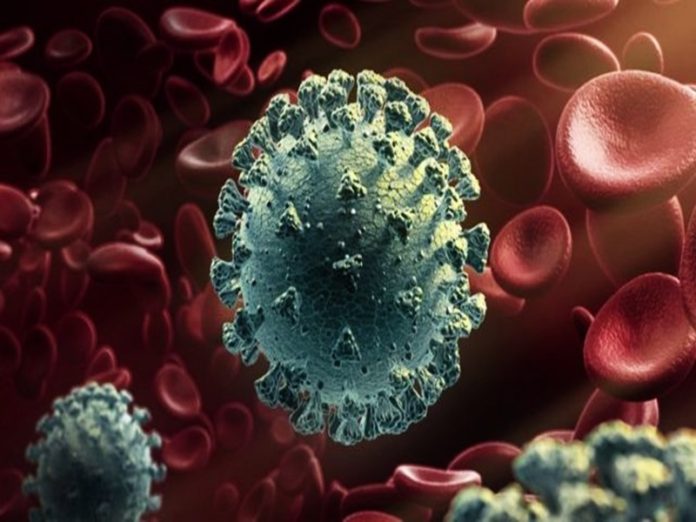 coronavirus
