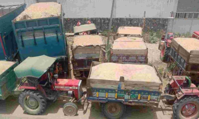 pipariya-photo
