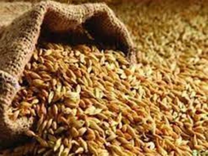 mp_wheat
