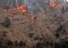 चमोली के जंगलों में आग लगने का सिलसिला नहीं थम रहा