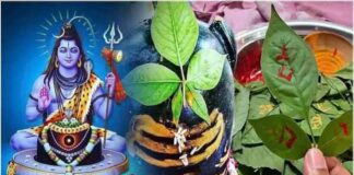 भगवान शिव की पूजा में बेलपत्र का विशेष महत्व, जानें क्यों प्रिय है महादेव को बेलपत्र