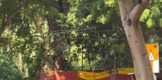 जंतर-मंतर पर प्रदर्शन के दौरान सौरव दास और आशुतोष रांका के खिलाफ केस दर्ज, गेट फांदकर पहुंचे थे प्रदर्शनकारी